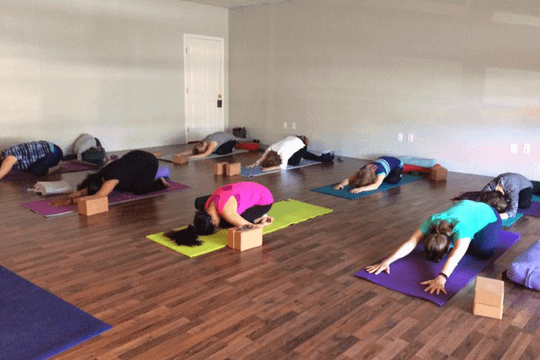 Image 1 from You Yoga Me Yoga partner gallery