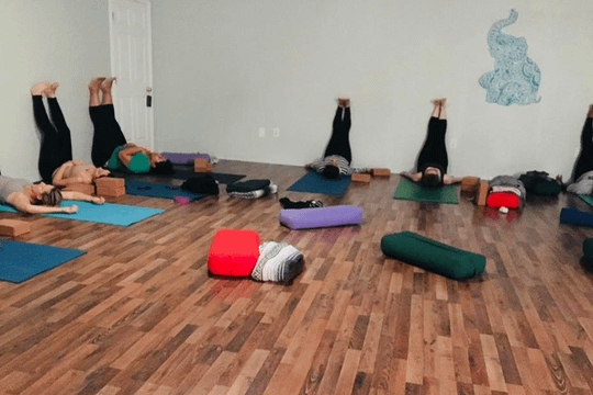 Image 3 from You Yoga Me Yoga partner gallery