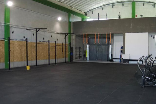 Imagen 3 de la galería del partner The Monkey Box