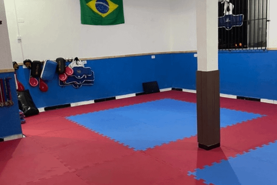 Imagem 2 da galeria do parceiro Liga Leste de Taekwondo
