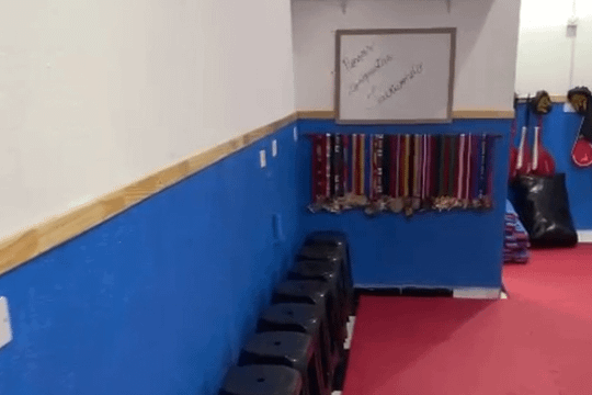 Imagem 3 da galeria do parceiro Liga Leste de Taekwondo