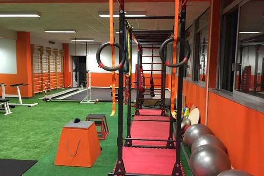 Immagine 2 dalla galleria del partner Calisthenics Lab Torino