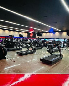 Imagem 1 da galeria do parceiro Academia Gaviões - Horto