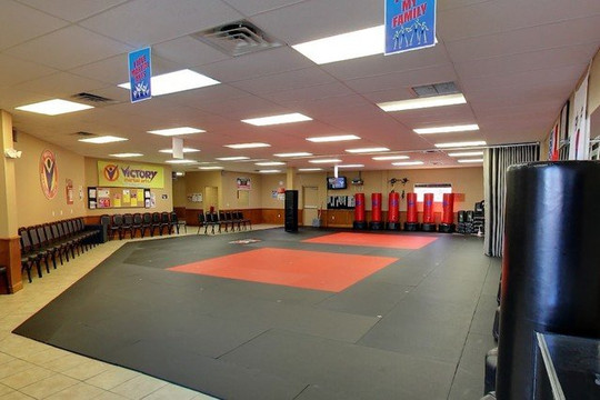 Image 1 from Victory Martial Arts - Palm Harbor partner gallery