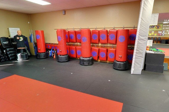 Image 3 from Victory Martial Arts - Palm Harbor partner gallery