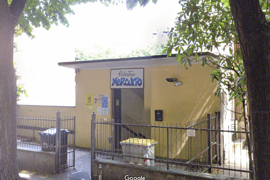 Immagine 2 dalla galleria del partner Palestra Mercurio