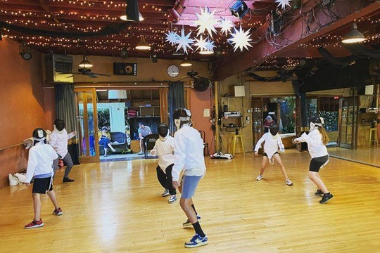Image 3 from Silverlake Fencing partner gallery