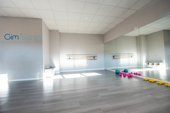 Imagen 1 de la galería del partner GimYang