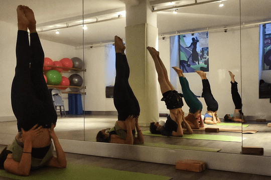 Imagen 2 de la galería del partner TYSONYOGA