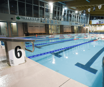 Immagine 3 dalla galleria del partner Clodia Piscina e Fitness