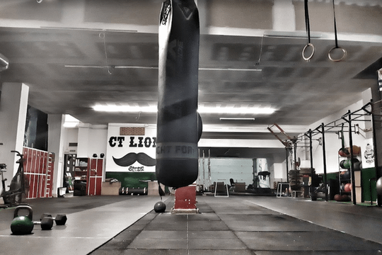 Imagen 1 de la galería del partner CrossTeam Lions Bilbao