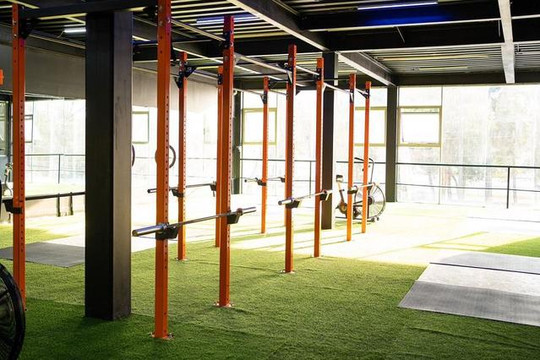Imagen 2 de la galería del partner Elysium Crossfit and Wellness Center