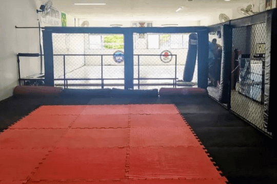 Imagem 1 da galeria do parceiro Academia Puro Impacto