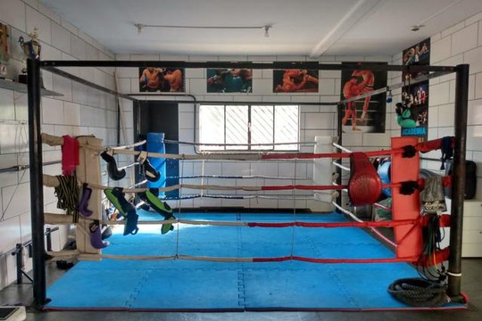 Imagem 1 da galeria do parceiro Ms Pit Bull Team