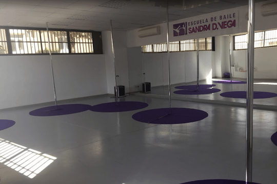 Imagen 1 de la galería del partner Academia de baile y música Sandra D. Vega