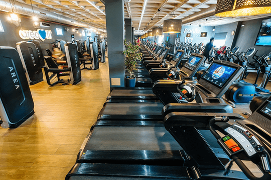 Imagen 1 de la galería del partner AreaFit Aleste