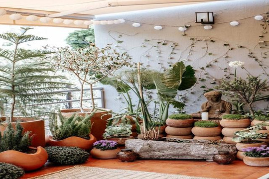 Imagen 2 de la galería del partner Casa Copal