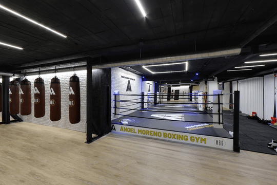 Imagen 1 de la galería del partner Angel Moreno Boxing Gym