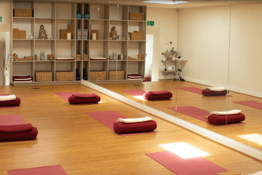 Image 1 from Deva Yoga Studio partner gallery