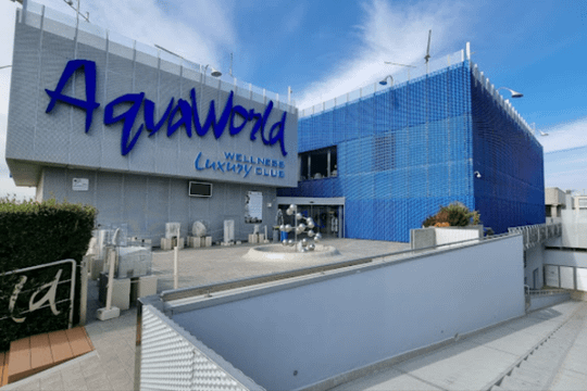 Immagine 2 dalla galleria del partner AqvaWorld Luxury Wellness Club