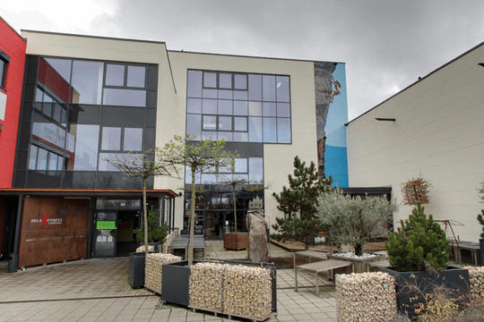 Bild 2 von FitzRocks Kletterhalle Landau Partnergalerie