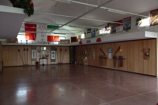 Immagine 1 dalla galleria del partner Tecniche Arti Orientali TAO