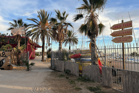 Imagen 2 de la galería del partner SUP Yoga Catalunya