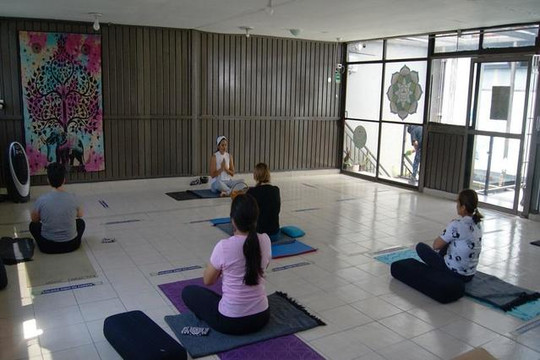 Imagen 1 de la galería del partner Kalyaan Yoga Jardin Balbuena