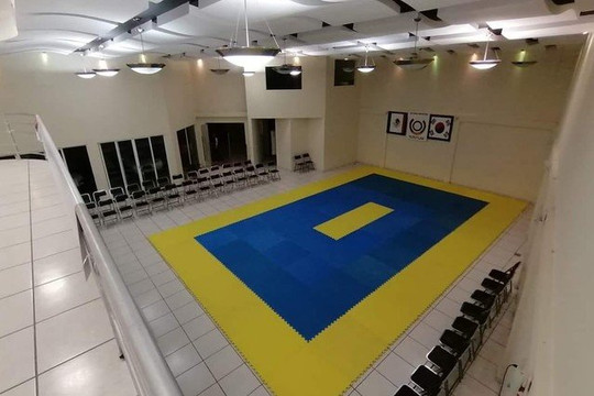 Imagen 1 de la galería del partner Instituto De Taekwondo Olimpico Doyang Grasfer