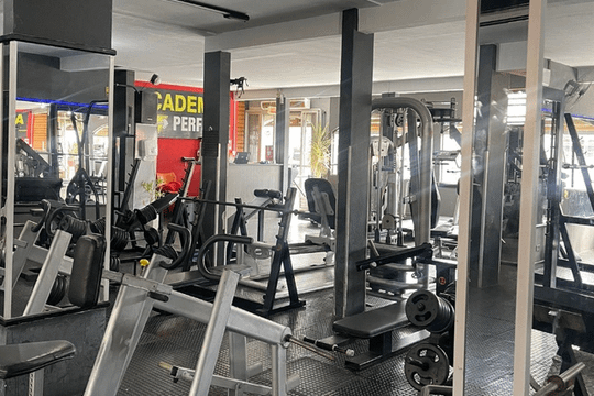 Imagem 1 da galeria do parceiro Academia Perfill