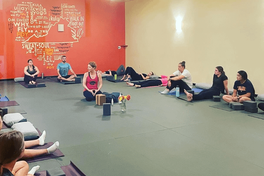 Image 1 from FlyDog Yoga partner gallery