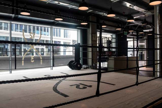 Image 3 from 12x3 Boxing partner gallery
