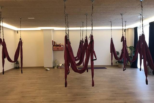 Imagen 3 de la galería del partner Arjuna Escuela de yoga