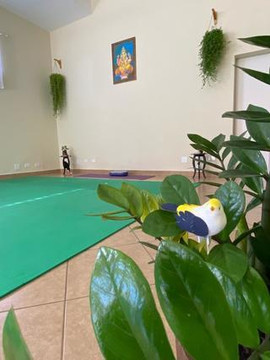 Imagem 3 da galeria do parceiro Pati Pinho Terapias Integrativas