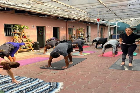 Imagen 2 de la galería del partner Ekadanta Cultura y Bienestar Popotla