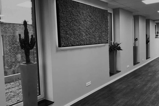 Bild 2 von meditrain Grevenbroich Partnergalerie