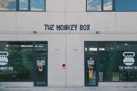 Imagen 2 de la galería del partner The Monkey Box