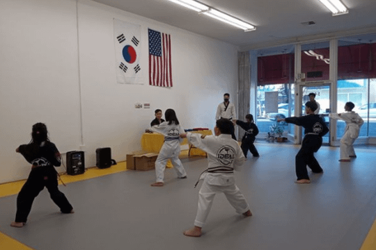 Image 1 from Ideal Martial Arts partner gallery