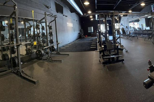 Image 1 from Tribe Fitness Anaheim partner gallery