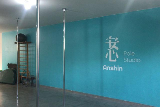 Imagem 2 da galeria do parceiro Anshin Pole Studio