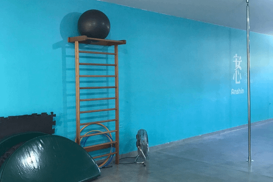 Imagem 3 da galeria do parceiro Anshin Pole Studio