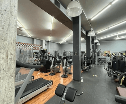 Immagine 1 dalla galleria del partner Trekkmill Academy