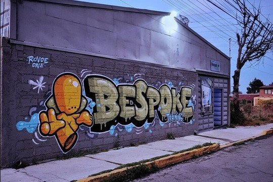Imagen 2 de la galería del partner Bespoke Training