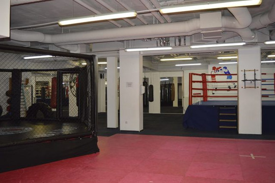 Bild 1 von Bars Kampfsportakademie Partnergalerie