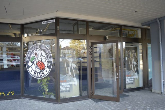 Bild 2 von Bars Kampfsportakademie Partnergalerie