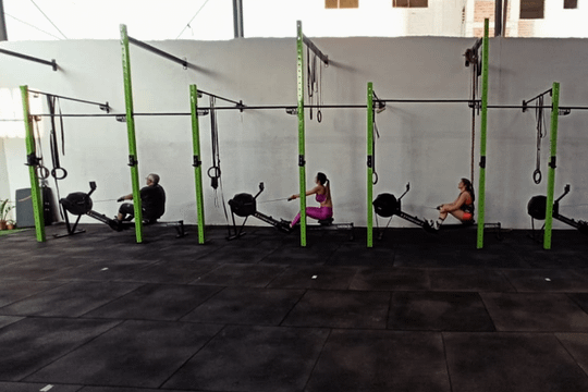 Imagem 3 da galeria do parceiro NO2 Cross Action