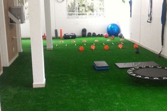 Imagem 1 da galeria do parceiro Personal Trainer Paulo Souza