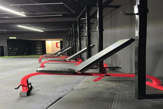 Imagen 2 de la galería del partner El Club St Coyoacan