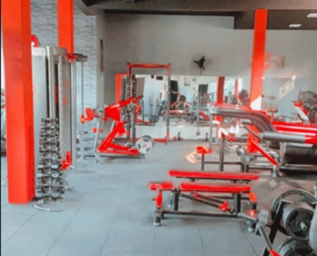 Imagem 1 da galeria do parceiro Pro Horse Gym