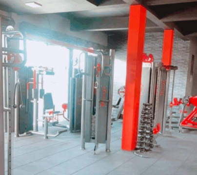 Imagem 2 da galeria do parceiro Pro Horse Gym